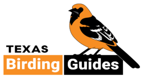 Texas Birding Guides